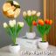 f44b752e-d972-4c0d-8a47-9a49dd9d7fb7.jpg
